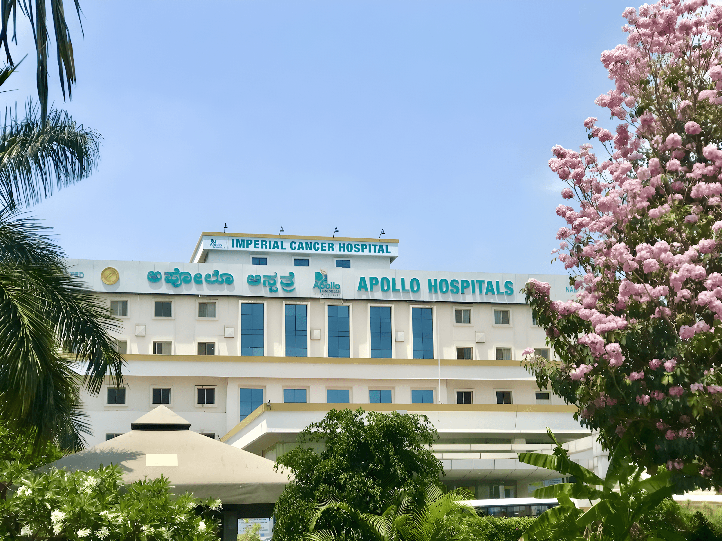 Apollo Hospital - Bannerghatta Road - Photo 2
