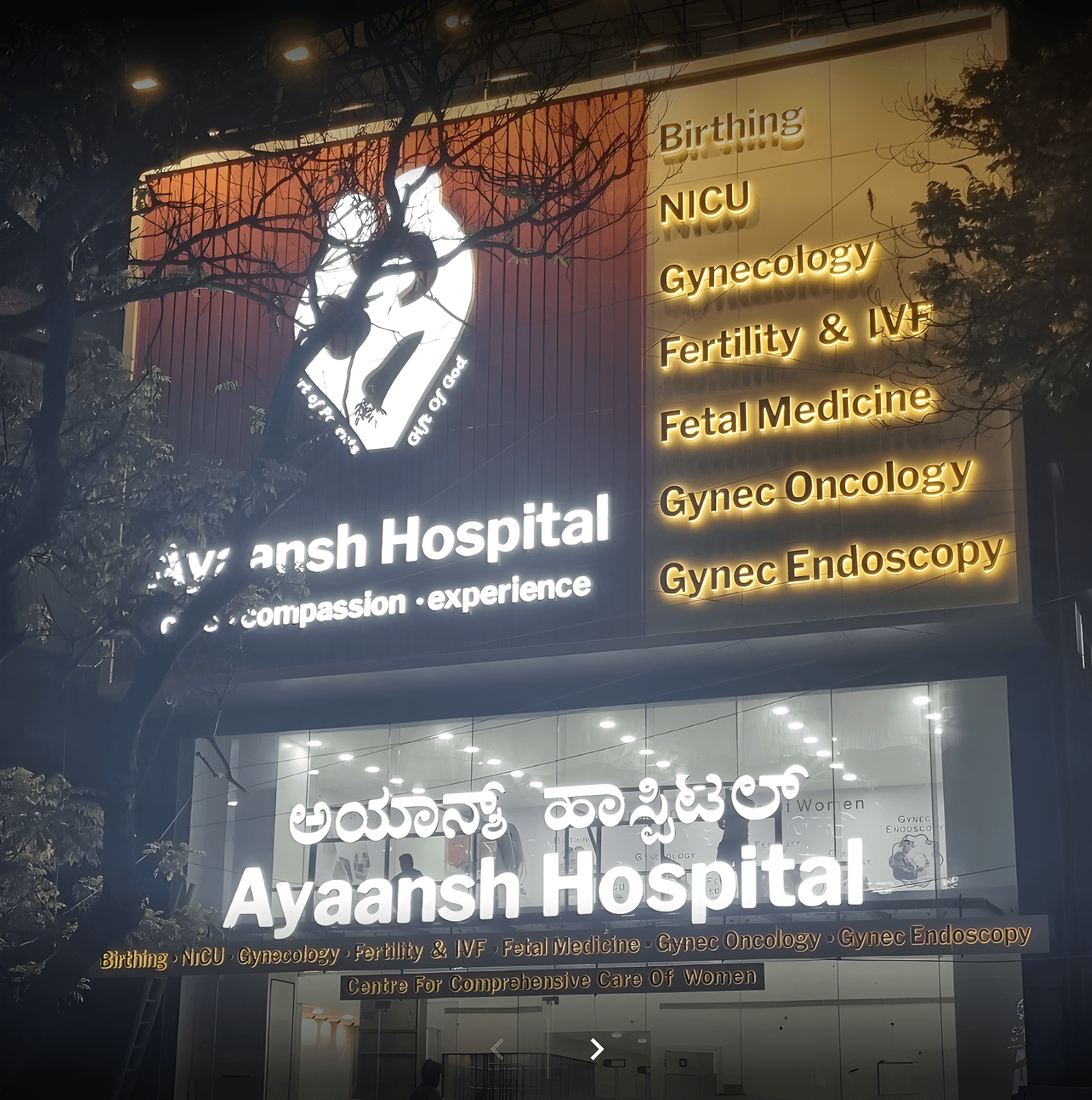 Ayaansh Fertility - Photo 1