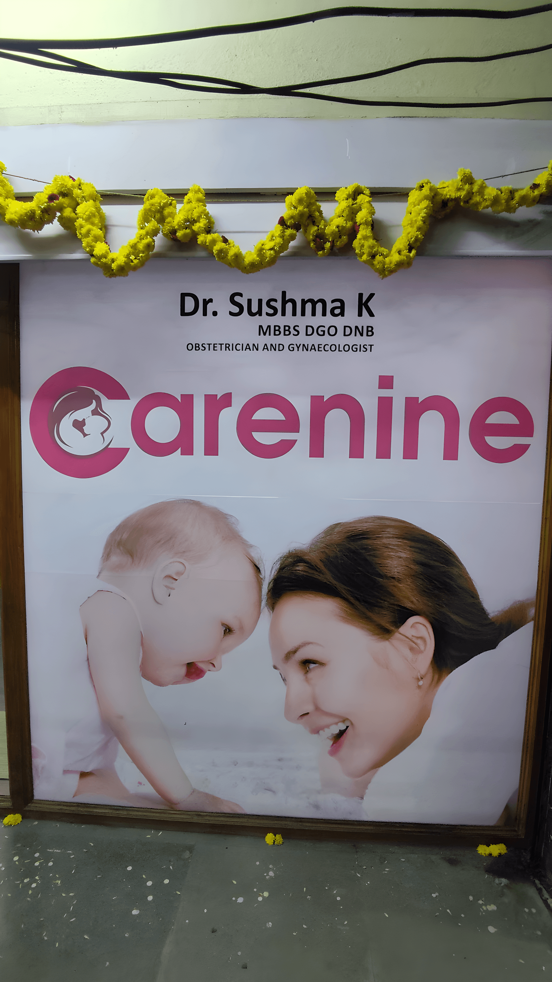 Carenine - Photo 1