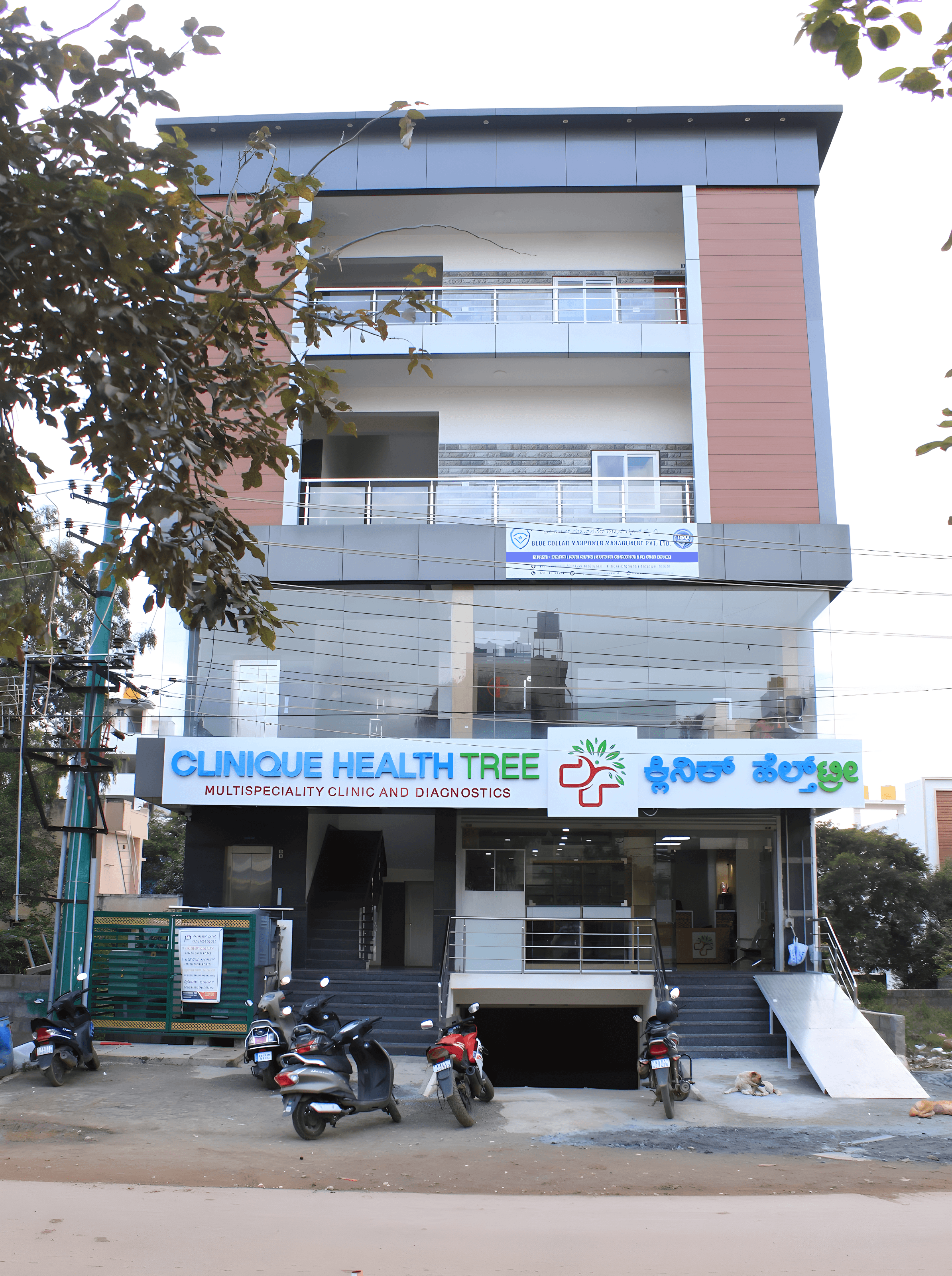 Clinique Health Tree - Photo 2